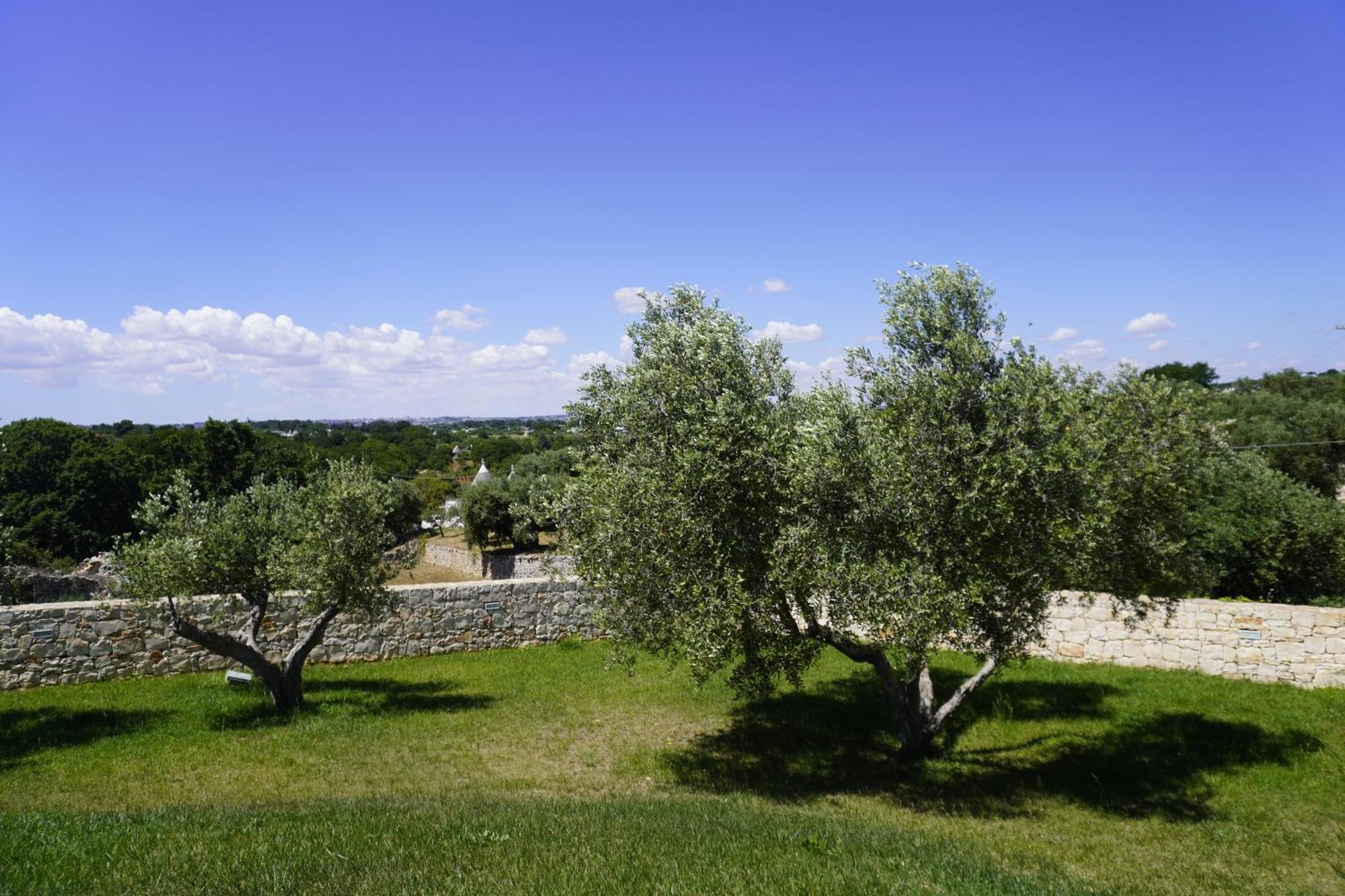 Trullo Amico Villa Cisternino Dış mekan fotoğraf
